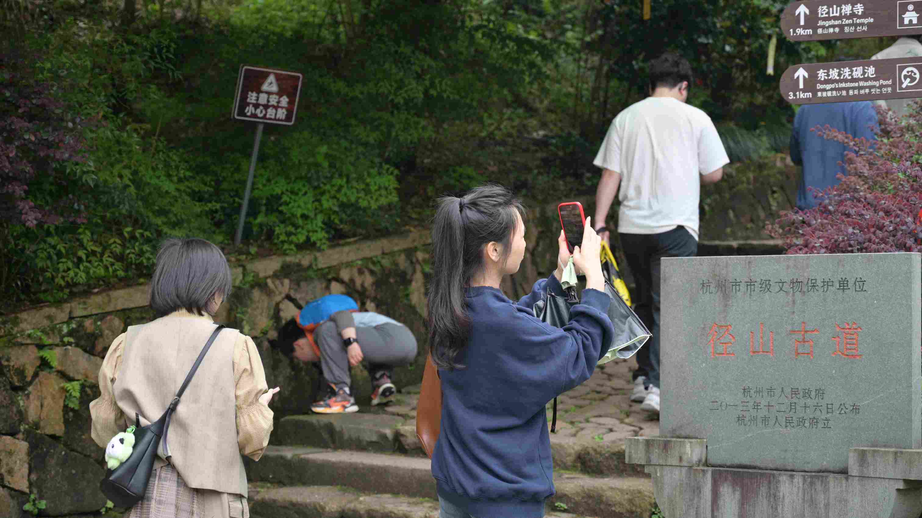 团队成员